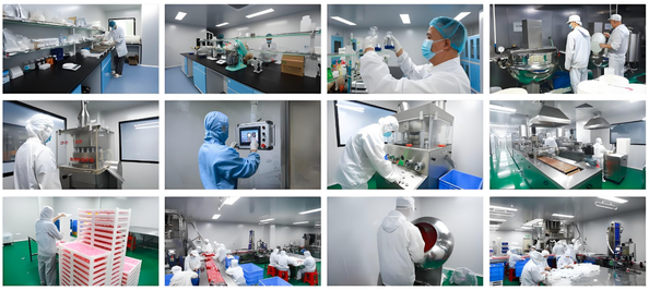 Chongqing Senzern Technology Co., Ltd