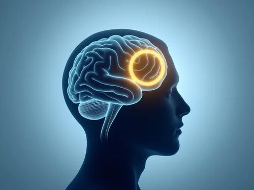 최신 회사 블로그 코엔자임 Q10, 우울증 완화와 연관 연구, 추가 연구 필요