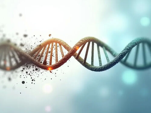 latest company blog about Study Explores Nmns Antiaging Potential As NAD Booster