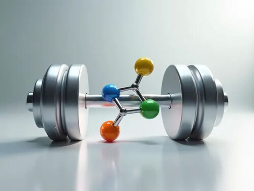 Dernier blog de l'entreprise Une étude met en garde contre les risques de surdosage de créatine et démystifie les mythes sur le dosage