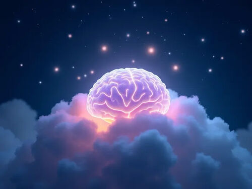 Latest company blog about Vitamin B6 May Improve Sleep Experts Suggest