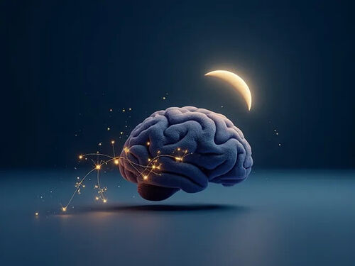 latest company blog about Melatonin and Vitamin B6 Key to Better Sleep