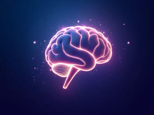 latest company blog about Amways XS Energy  Focus Targets Cognitive Enhancement